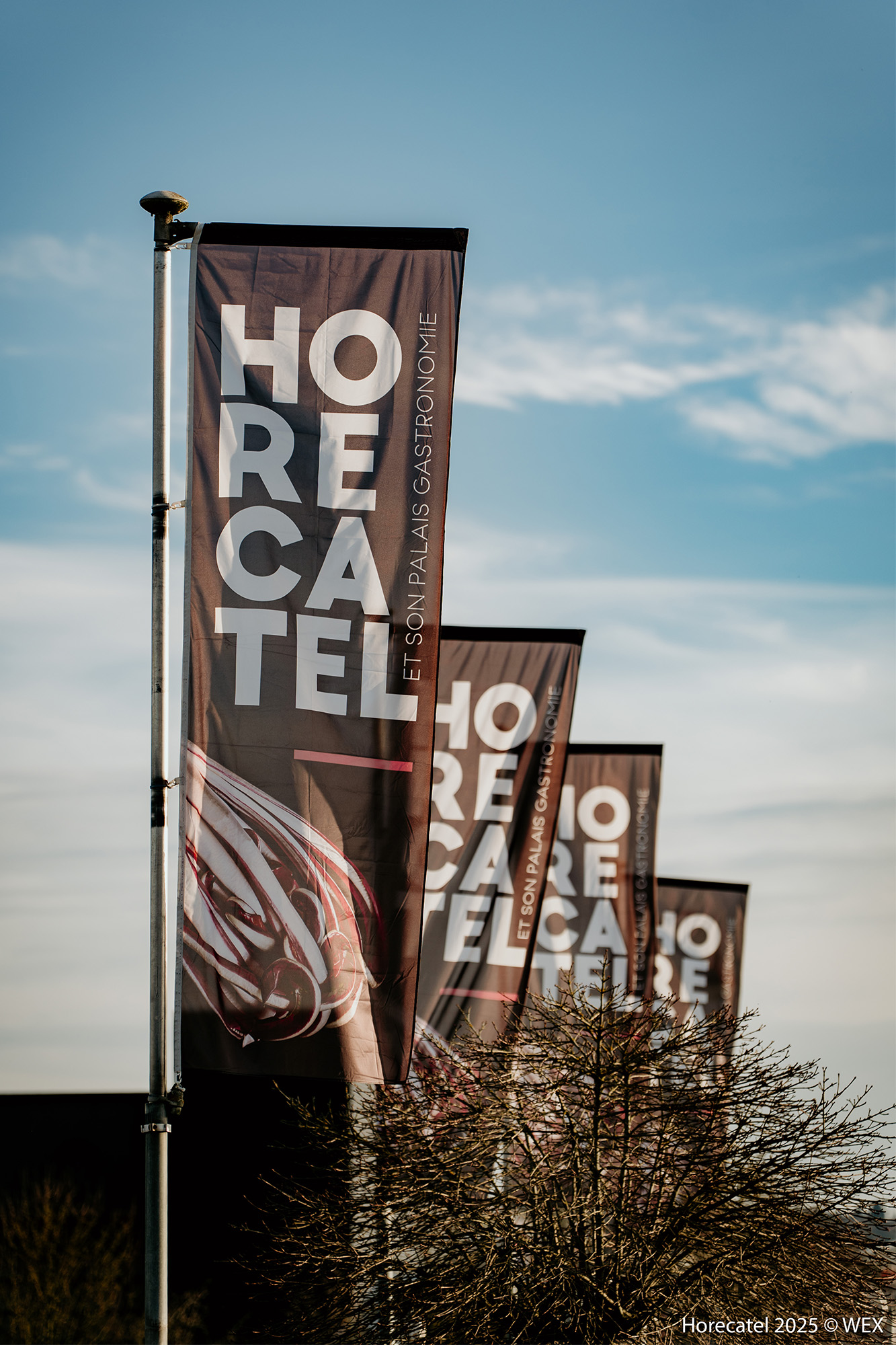 Infos pratiques Salon Horecatel WEX Marche-en-Famenne